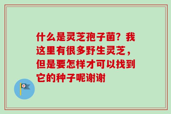 什么是灵芝孢子菌？我这里有很多野生灵芝，但是要怎样才可以找到它的种子呢谢谢-第1张图片-卓越灵芝孢子粉