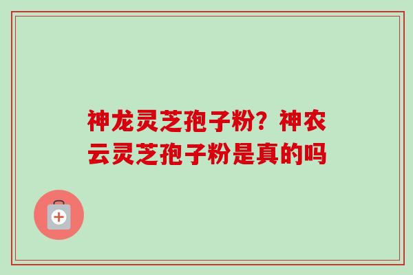 神龙灵芝孢子粉?神农云灵芝孢子粉是真的吗-第1张图片-卓越灵芝孢子粉 神龙灵芝孢子粉?神农云灵芝孢子粉是真的吗-第1张图片-卓越灵芝孢子粉