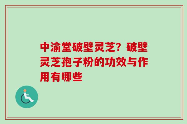 中渝堂破壁灵芝?破壁灵芝孢子粉的功效与作用有哪些-第1张图片-卓越灵芝孢子粉 中渝堂破壁灵芝?破壁灵芝孢子粉的功效与作用有哪些-第1张图片-卓越灵芝孢子粉