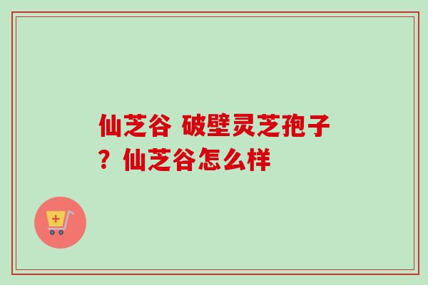 仙芝谷 破壁灵芝孢子？仙芝谷怎么样-第1张图片-卓越灵芝孢子粉