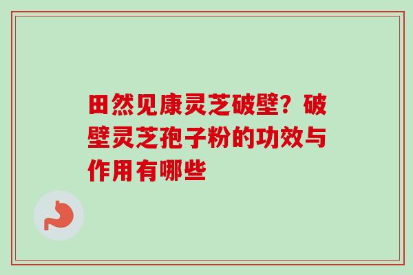 田然见康灵芝破壁?破壁灵芝孢子粉的功效与作用有哪些-第1张图片-卓越灵芝孢子粉 田然见康灵芝破壁?破壁灵芝孢子粉的功效与作用有哪些-第1张图片-卓越灵芝孢子粉