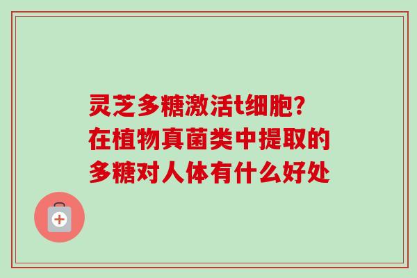 灵芝多糖激活t细胞?在植物真菌类中提取的多糖对人体有什么好处-第1张图片-卓越灵芝孢子粉 灵芝多糖激活t细胞?在植物真菌类中提取的多糖对人体有什么好处-第1张图片-卓越灵芝孢子粉