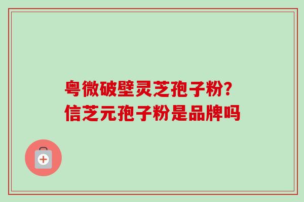 粤微破壁灵芝孢子粉?信芝元孢子粉是品牌吗-第1张图片-卓越灵芝孢子粉 粤微破壁灵芝孢子粉?信芝元孢子粉是品牌吗-第1张图片-卓越灵芝孢子粉