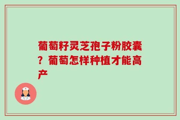 葡萄籽灵芝孢子粉胶囊?葡萄怎样种植才能高产-第1张图片-卓越灵芝孢子粉 葡萄籽灵芝孢子粉胶囊?葡萄怎样种植才能高产-第1张图片-卓越灵芝孢子粉