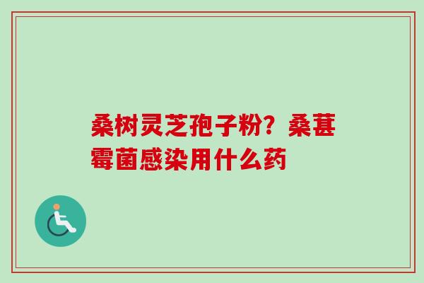 桑树灵芝孢子粉？桑葚霉菌感染用什么药-第1张图片-卓越灵芝孢子粉