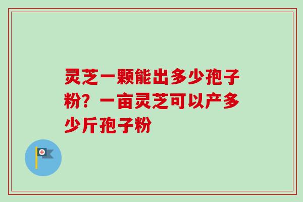 灵芝一颗能出多少孢子粉？一亩灵芝可以产多少斤孢子粉-第1张图片-卓越灵芝孢子粉