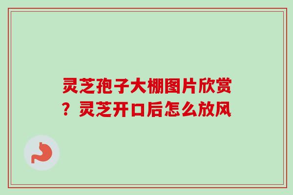 灵芝孢子大棚图片欣赏？灵芝开口后怎么放风-第1张图片-卓越灵芝孢子粉