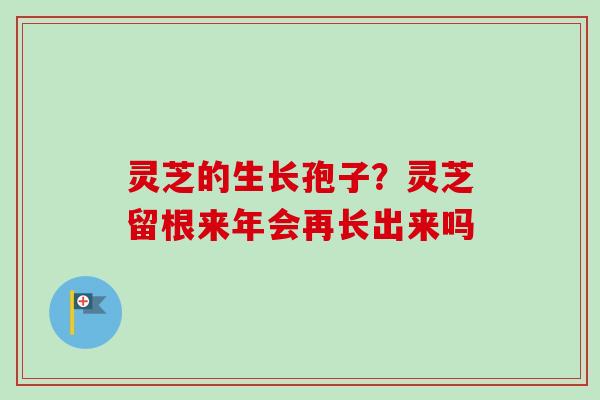 灵芝的生长孢子？灵芝留根来年会再长出来吗-第1张图片-卓越灵芝孢子粉