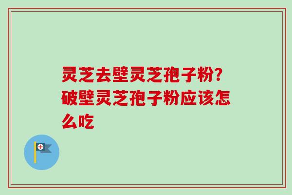 灵芝去壁灵芝孢子粉?破壁灵芝孢子粉应该怎么吃-第1张图片-卓越灵芝孢子粉 灵芝去壁灵芝孢子粉?破壁灵芝孢子粉应该怎么吃-第1张图片-卓越灵芝孢子粉