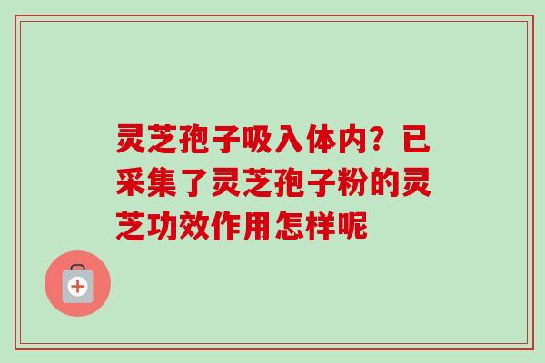 灵芝孢子吸入体内?已采集了灵芝孢子粉的灵芝功效作用怎样呢-第1张图片-卓越灵芝孢子粉 灵芝孢子吸入体内?已采集了灵芝孢子粉的灵芝功效作用怎样呢-第1张图片-卓越灵芝孢子粉