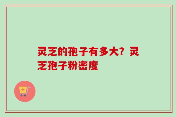 灵芝的孢子有多大?灵芝孢子粉密度-第1张图片-卓越灵芝孢子粉 灵芝的孢子有多大?灵芝孢子粉密度-第1张图片-卓越灵芝孢子粉