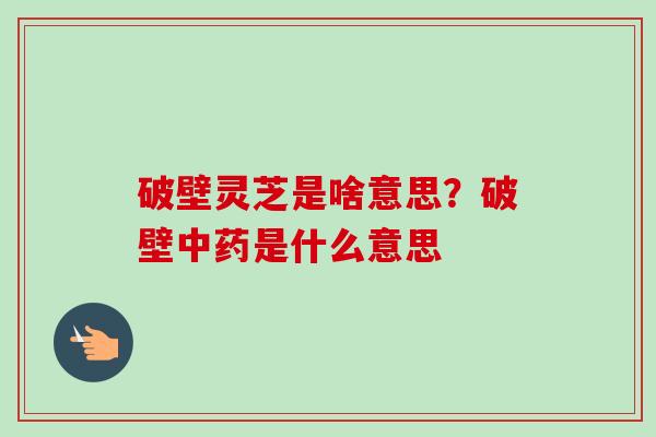 破壁灵芝是啥意思?破壁中药是什么意思-第1张图片-卓越灵芝孢子粉 破壁灵芝是啥意思?破壁中药是什么意思-第1张图片-卓越灵芝孢子粉