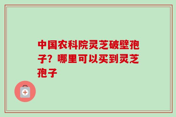 中国农科院灵芝破壁孢子?哪里可以买到灵芝孢子-第1张图片-卓越灵芝孢子粉 中国农科院灵芝破壁孢子?哪里可以买到灵芝孢子-第1张图片-卓越灵芝孢子粉