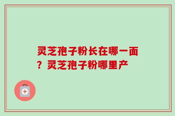灵芝孢子粉长在哪一面?灵芝孢子粉哪里产-第1张图片-卓越灵芝孢子粉 灵芝孢子粉长在哪一面?灵芝孢子粉哪里产-第1张图片-卓越灵芝孢子粉