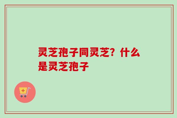 灵芝孢子同灵芝?什么是灵芝孢子-第1张图片-卓越灵芝孢子粉 灵芝孢子同灵芝?什么是灵芝孢子-第1张图片-卓越灵芝孢子粉