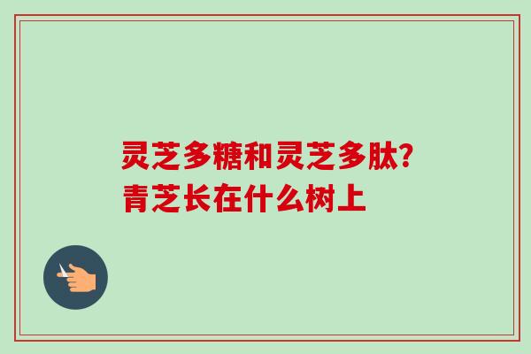 灵芝多糖和灵芝多肽?青芝长在什么树上-第1张图片-卓越灵芝孢子粉 灵芝多糖和灵芝多肽?青芝长在什么树上-第1张图片-卓越灵芝孢子粉