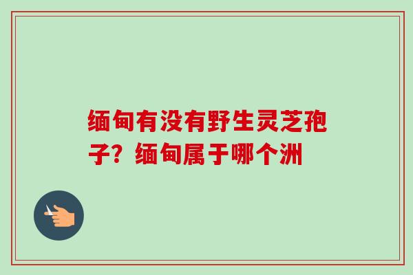 缅甸有没有野生灵芝孢子？缅甸属于哪个洲-第1张图片-卓越灵芝孢子粉