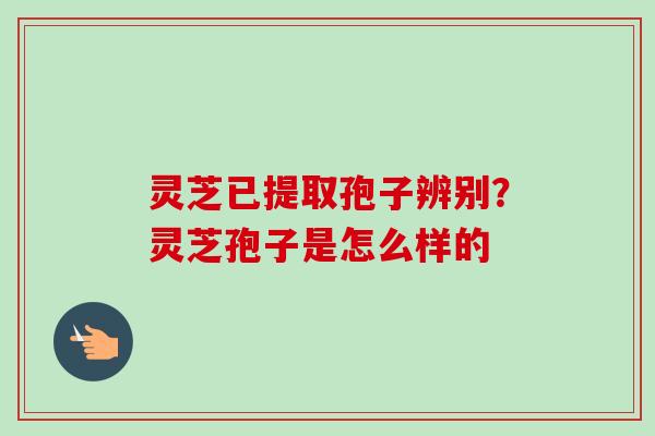 灵芝已提取孢子辨别?灵芝孢子是怎么样的-第1张图片-卓越灵芝孢子粉 灵芝已提取孢子辨别?灵芝孢子是怎么样的-第1张图片-卓越灵芝孢子粉