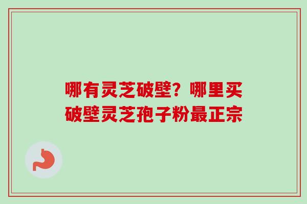哪有灵芝破壁？哪里买破壁灵芝孢子粉最正宗-第1张图片-卓越灵芝孢子粉