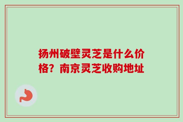 扬州破壁灵芝是什么价格?南京灵芝收购地址-第1张图片-卓越灵芝孢子粉 扬州破壁灵芝是什么价格?南京灵芝收购地址-第1张图片-卓越灵芝孢子粉