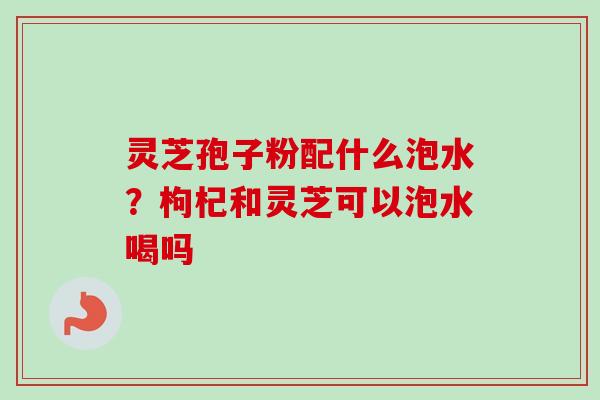 灵芝孢子粉配什么泡水？枸杞和灵芝可以泡水喝吗-第1张图片-卓越灵芝孢子粉