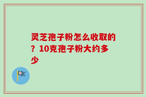 灵芝孢子粉怎么收取的？10克孢子粉大约多少-第1张图片-卓越灵芝孢子粉