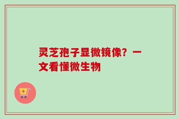 灵芝孢子显微镜像?一文看懂微生物-第1张图片-卓越灵芝孢子粉 灵芝孢子显微镜像?一文看懂微生物-第1张图片-卓越灵芝孢子粉