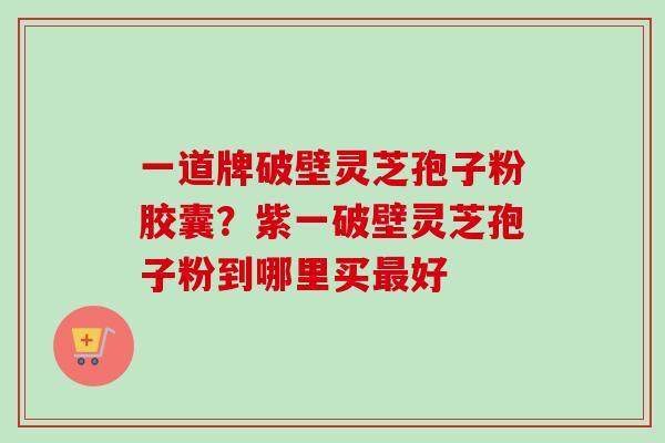 一道牌破壁灵芝孢子粉胶囊？紫一破壁灵芝孢子粉到哪里买最好-第1张图片-卓越灵芝孢子粉