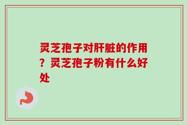 灵芝孢子对肝脏的作用?灵芝孢子粉有什么好处-第1张图片-卓越灵芝孢子粉 灵芝孢子对肝脏的作用?灵芝孢子粉有什么好处-第1张图片-卓越灵芝孢子粉