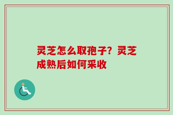 灵芝怎么取孢子?灵芝成熟后如何采收-第1张图片-卓越灵芝孢子粉 灵芝怎么取孢子?灵芝成熟后如何采收-第1张图片-卓越灵芝孢子粉