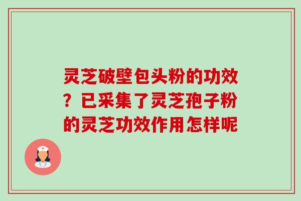 灵芝破壁包头粉的功效?已采集了灵芝孢子粉的灵芝功效作用怎样呢-第1张图片-卓越灵芝孢子粉 灵芝破壁包头粉的功效?已采集了灵芝孢子粉的灵芝功效作用怎样呢-第1张图片-卓越灵芝孢子粉