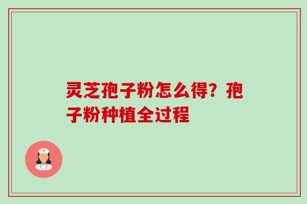 灵芝孢子粉怎么得？孢子粉种植全过程-第1张图片-卓越灵芝孢子粉