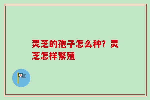 灵芝的孢子怎么种?灵芝怎样繁殖-第1张图片-卓越灵芝孢子粉 灵芝的孢子怎么种?灵芝怎样繁殖-第1张图片-卓越灵芝孢子粉