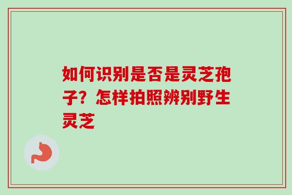 如何识别是否是灵芝孢子?怎样拍照辨别野生灵芝-第1张图片-卓越灵芝孢子粉 如何识别是否是灵芝孢子?怎样拍照辨别野生灵芝-第1张图片-卓越灵芝孢子粉