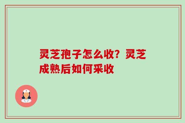 灵芝孢子怎么收?灵芝成熟后如何采收-第1张图片-卓越灵芝孢子粉 灵芝孢子怎么收?灵芝成熟后如何采收-第1张图片-卓越灵芝孢子粉