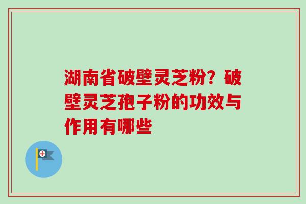 湖南省破壁灵芝粉？破壁灵芝孢子粉的功效与作用有哪些-第1张图片-卓越灵芝孢子粉