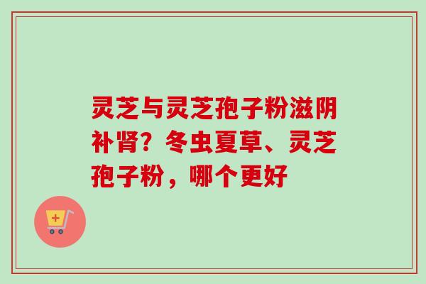 灵芝与灵芝孢子粉滋阴补肾?冬虫夏草、灵芝孢子粉,哪个更好-第1张图片-卓越灵芝孢子粉 灵芝与灵芝孢子粉滋阴补肾?冬虫夏草、灵芝孢子粉,哪个更好-第1张图片-卓越灵芝孢子粉
