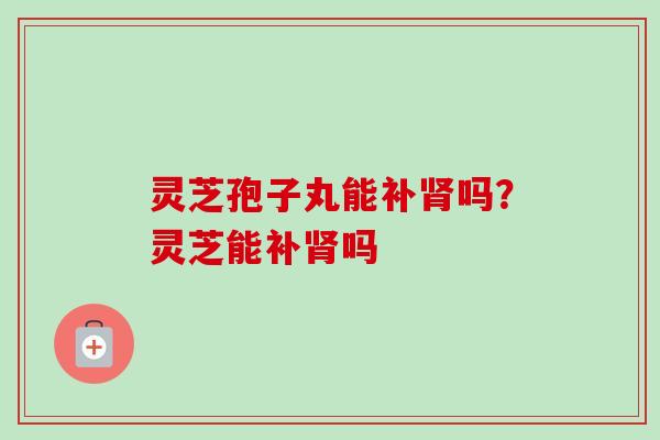 灵芝孢子丸能补肾吗?灵芝能补肾吗-第1张图片-卓越灵芝孢子粉 灵芝孢子丸能补肾吗?灵芝能补肾吗-第1张图片-卓越灵芝孢子粉