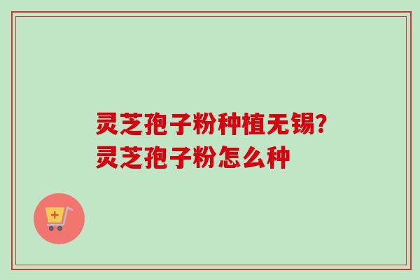 灵芝孢子粉种植无锡？灵芝孢子粉怎么种-第1张图片-卓越灵芝孢子粉