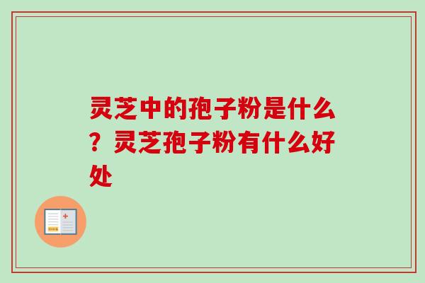 灵芝中的孢子粉是什么？灵芝孢子粉有什么好处-第1张图片-卓越灵芝孢子粉