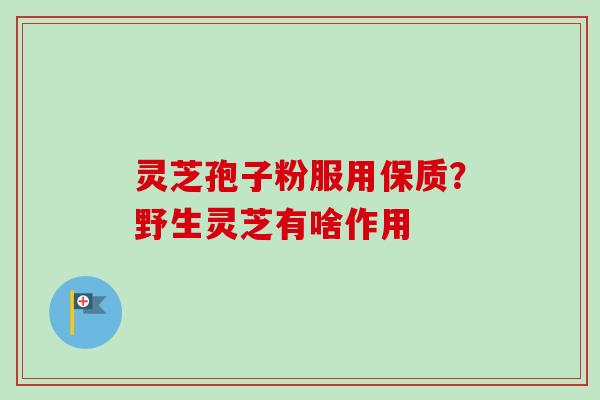 灵芝孢子粉服用保质？野生灵芝有啥作用-第1张图片-卓越灵芝孢子粉