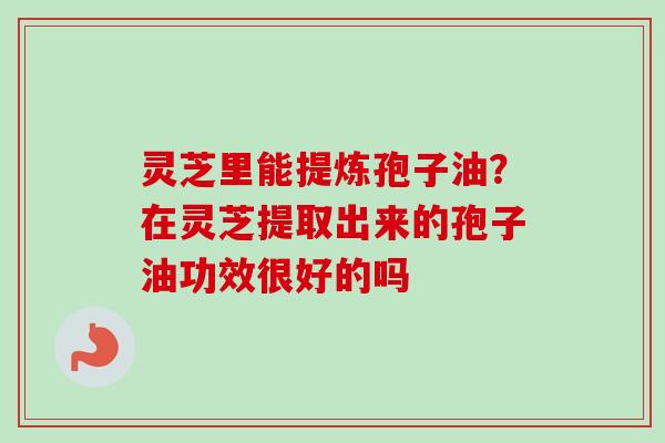 灵芝里能提炼孢子油？在灵芝提取出来的孢子油功效很好的吗-第1张图片-卓越灵芝孢子粉