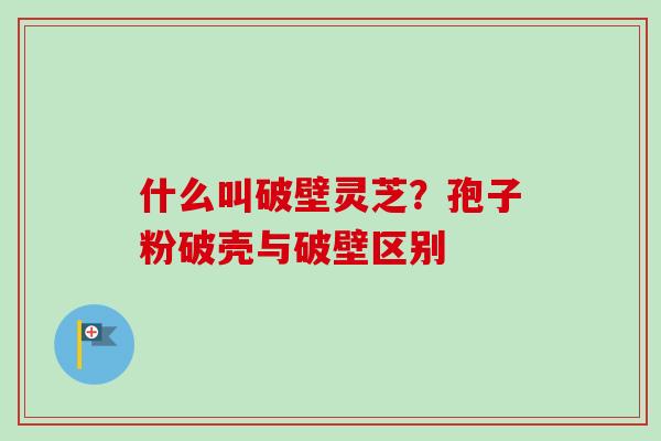 什么叫破壁灵芝?孢子粉破壳与破壁区别-第1张图片-卓越灵芝孢子粉 什么叫破壁灵芝?孢子粉破壳与破壁区别-第1张图片-卓越灵芝孢子粉