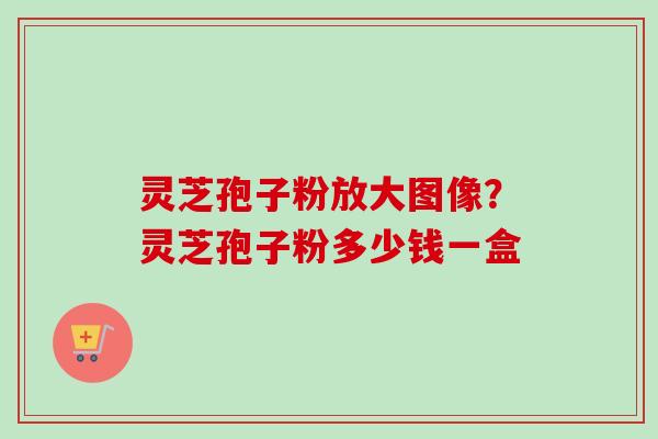 灵芝孢子粉放大图像?灵芝孢子粉多少钱一盒-第1张图片-卓越灵芝孢子粉 灵芝孢子粉放大图像?灵芝孢子粉多少钱一盒-第1张图片-卓越灵芝孢子粉