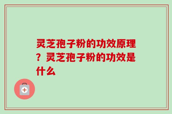 灵芝孢子粉的功效原理?灵芝孢子粉的功效是什么-第1张图片-卓越灵芝孢子粉 灵芝孢子粉的功效原理?灵芝孢子粉的功效是什么-第1张图片-卓越灵芝孢子粉