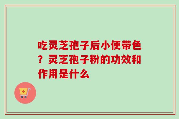 吃灵芝孢子后小便带色？灵芝孢子粉的功效和作用是什么-第1张图片-卓越灵芝孢子粉