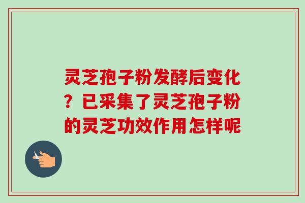 灵芝孢子粉发酵后变化?已采集了灵芝孢子粉的灵芝功效作用怎样呢-第1张图片-卓越灵芝孢子粉 灵芝孢子粉发酵后变化?已采集了灵芝孢子粉的灵芝功效作用怎样呢-第1张图片-卓越灵芝孢子粉