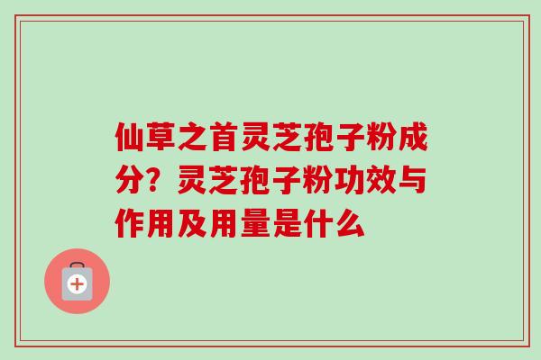 仙草之首灵芝孢子粉成分？灵芝孢子粉功效与作用及用量是什么-第1张图片-卓越灵芝孢子粉
