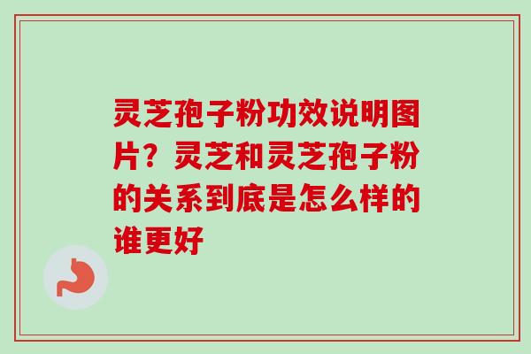 灵芝孢子粉功效说明图片?灵芝和灵芝孢子粉的关系到底是怎么样的谁更好-第1张图片-卓越灵芝孢子粉 灵芝孢子粉功效说明图片?灵芝和灵芝孢子粉的关系到底是怎么样的谁更好-第1张图片-卓越灵芝孢子粉