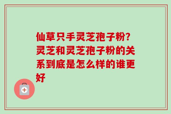 仙草只手灵芝孢子粉?灵芝和灵芝孢子粉的关系到底是怎么样的谁更好-第1张图片-卓越灵芝孢子粉 仙草只手灵芝孢子粉?灵芝和灵芝孢子粉的关系到底是怎么样的谁更好-第1张图片-卓越灵芝孢子粉